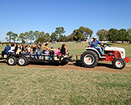 Pumpkin Patch Maze Texas